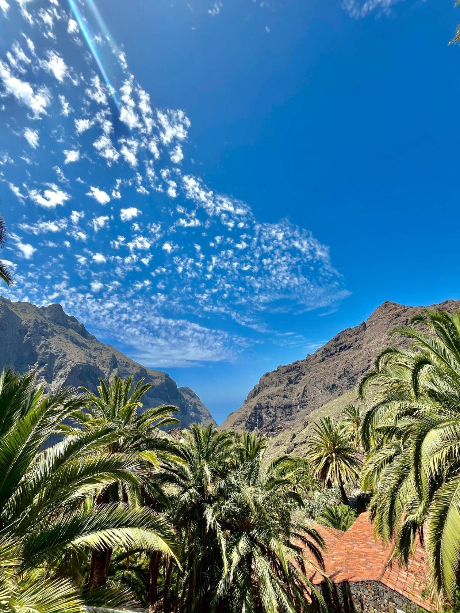 Tenerife Playa La Arena Puerto de Santiago (Tenerife) Exterior foto